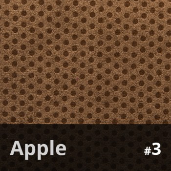 Apple 3